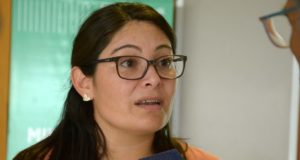 El gobierno puntano busca despertar el enorme potencial furtihortícola de la provincia