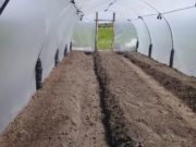 Concluyeron la construcción de invernadero en Potrerillo