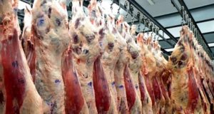 Efecto coronavirus: 31.8% de caída en la exportación de carne en enero