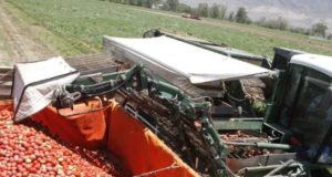 Por el coronavirus, en San Juan se suspendió el Congreso mundial del Tomate