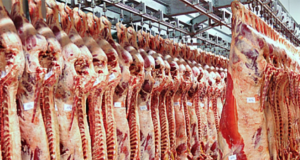 Argentina, en condiciones de exportar un millón de Tn de carne vacuna por año