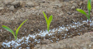 Récord de consumo de fertilizantes en 2019