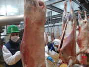Argentina exporta carne ovina con hueso congelado a China