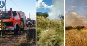 No respetó la cuarentena, se fue a quemar ramas a un campo y provocó un incendio forestal en Balcarce