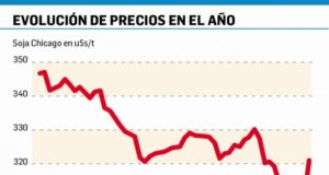 Repunta el precio internacional de soja un 7,6%