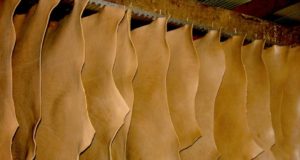 Los frigoríficos no tienen dónde llevar los cueros
