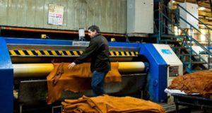 El Senasa intima a las curtiembres para que reciban cueros de los frigoríficos