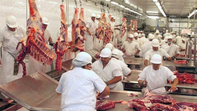 31 - 03 - frigorifico