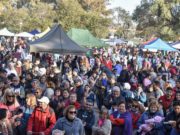 San Luis: con más espacios familiares, llega este sábado la 34ª Feria de Pequeños y Medianos Productores