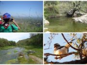 Las cinco Áreas Naturales Protegidas de San Luis cierran sus puertas al público