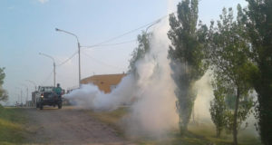 Control químico del dengue: agrónomos piden a los gobiernos la creación de comités técnicos