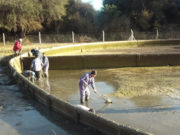 San Luis Agua cortará por 12 horas el servicio del acueducto Socoscora