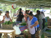 Los alimentos ¿transmiten el coronavirus?