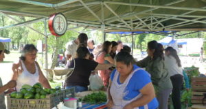 Los alimentos ¿transmiten el coronavirus?