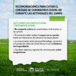 Recomendaciones evitar contagio-EN EL CAMPO 1