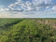 El campo y la academia, juntos para potenciar la biodiversidad pampeana