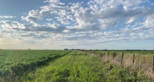El campo y la academia, juntos para potenciar la biodiversidad pampeana