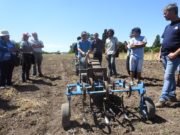 Chango, un microtractor diseñado para la agricultura familiar