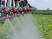 San Luis: pedirán que vuelva a integrarse la Comisión Provincial de Sanidad Vegetal