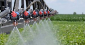 San Luis: pedirán que vuelva a integrarse la Comisión Provincial de Sanidad Vegetal