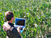 Cuarentena social: los agrónomos piden excepción para garantizar la producción alimentaria