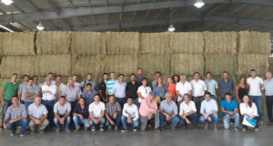 San Luis apuesta fuerte a la alfalfa con un proyecto a 10 años