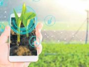 El agro y las tecnológicas, los únicos sectores a salvo de la crisis del coronavirus