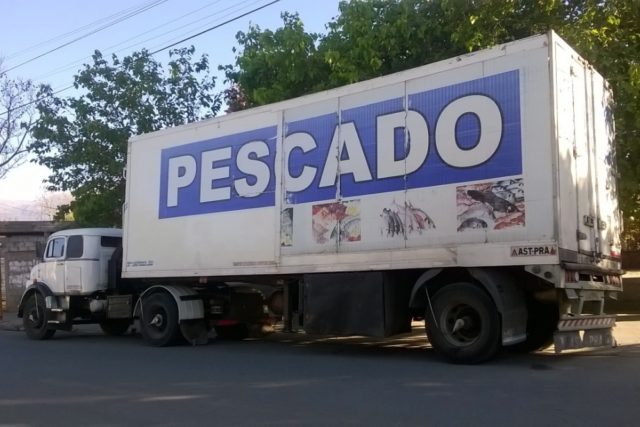06 - 04 - trasporrtes habilitados