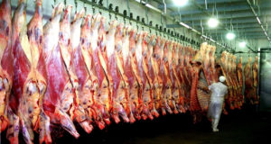 La faena de vacunos aumentó 7% en marzo