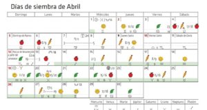 Calendario Biodinámico para siembra de Abril 2020