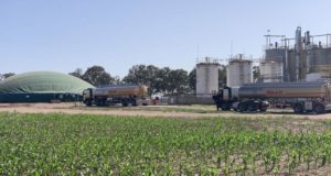 El bioetanol en un plano inclinado