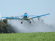 Más de cien ongs denuncian fumigaciones prohibidas