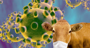 La industria frigorífica apoya las medidas del gobierno por el coronavirus