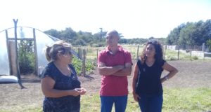 Intercambio de información entre productores que instalaron su invernadero