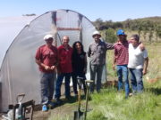 Armaron invernadero en el paraje Agua Linda