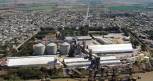 Vicentin: se conocieron los nuevos plazos de la mega convocatoria de acreedores
