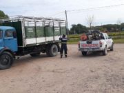 Recomendaciones de Senasa para implementar en remates feria y exposiciones