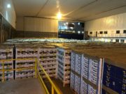 Primera exportación de frutas frescas cítricas desde puertos bonaerenses