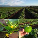 58384092_10218523394266233_6846115966460362752_o