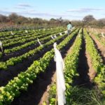 60344437_10218663091318572_6880253770983276544_n