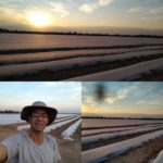 69653659_10219513083927856_8826226091849940992_o