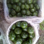 71691237_10219840735198933_388976161293598720_n