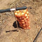 77292994_10220348704297843_7113773930300571648_o