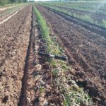 92226367_10221582831070241_5343558023442857984_o