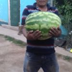 WhatsApp Image 2020-04-13 at 07.01.18