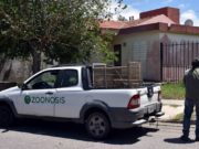 San Luis: este sábado habrá vacunación antirrábica en dos puntos donde hallaron murciélagos infectados