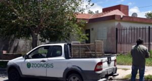 San Luis: este sábado habrá vacunación antirrábica en dos puntos donde hallaron murciélagos infectados