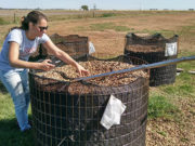 Investigadoras crearon microcápsulas que previenen la contaminación del maní