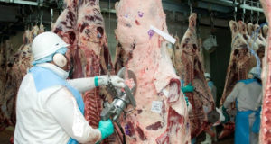 El IPCVA y la industria promueven protocolos para prevenir la propagación del covid-19