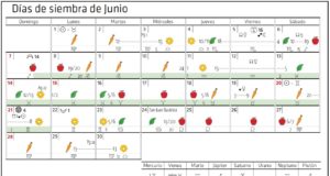 Calendario Biodinámico para siembra de junio 2020